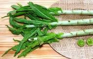 Спаржевый салат рецепты на зиму для запасливых хозяек Салат спаржевый светлана выращивание